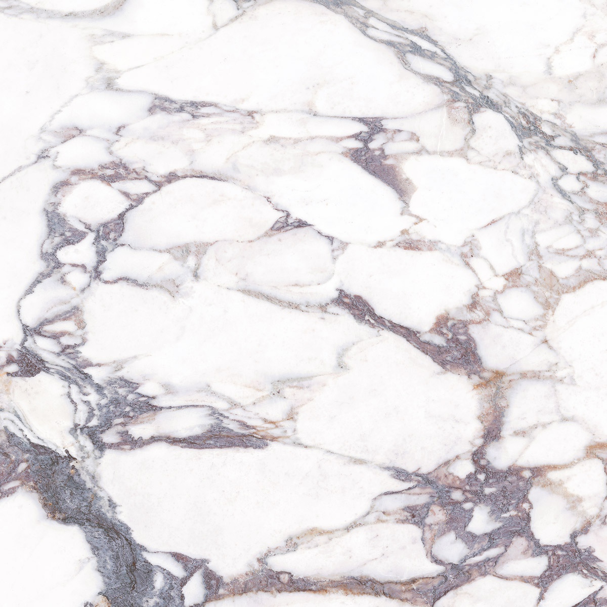 icg-aa-artisan_viola-2448-f1-SQUARE